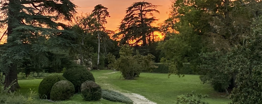 coucher de soleil dans le parc du chateau